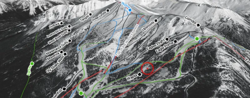Detailed ski resort trail map highlighting slopes, lifts, and terrain features.