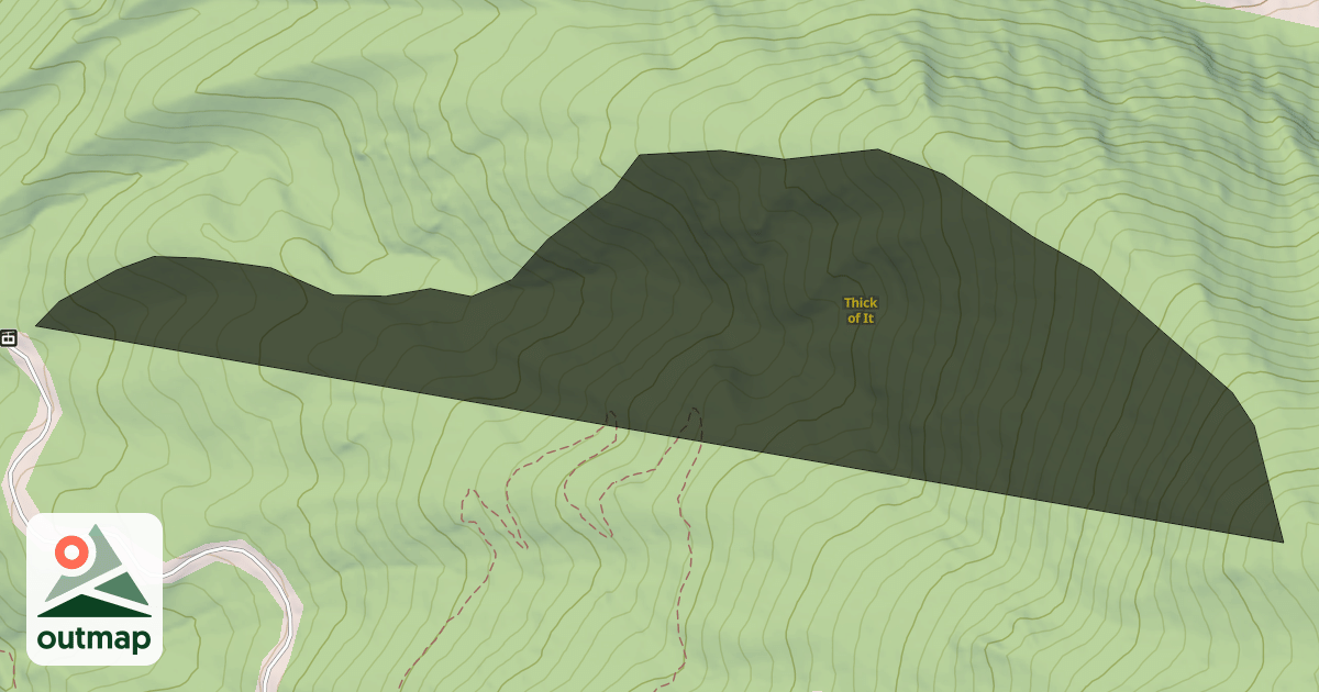 Map of Thick of It