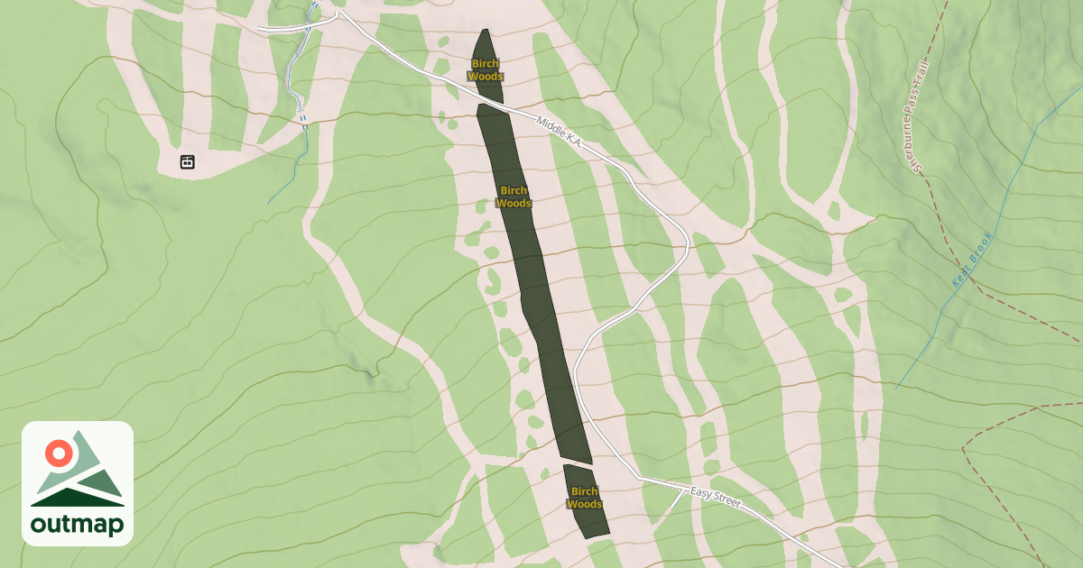 Map of Birch Woods