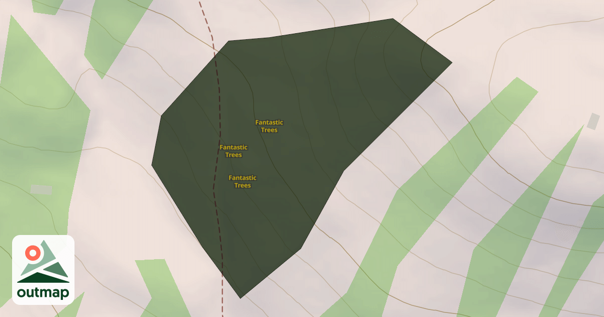 Map of Fantastic Trees