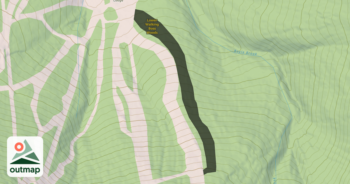 Map of Lower Walking Boss Woods