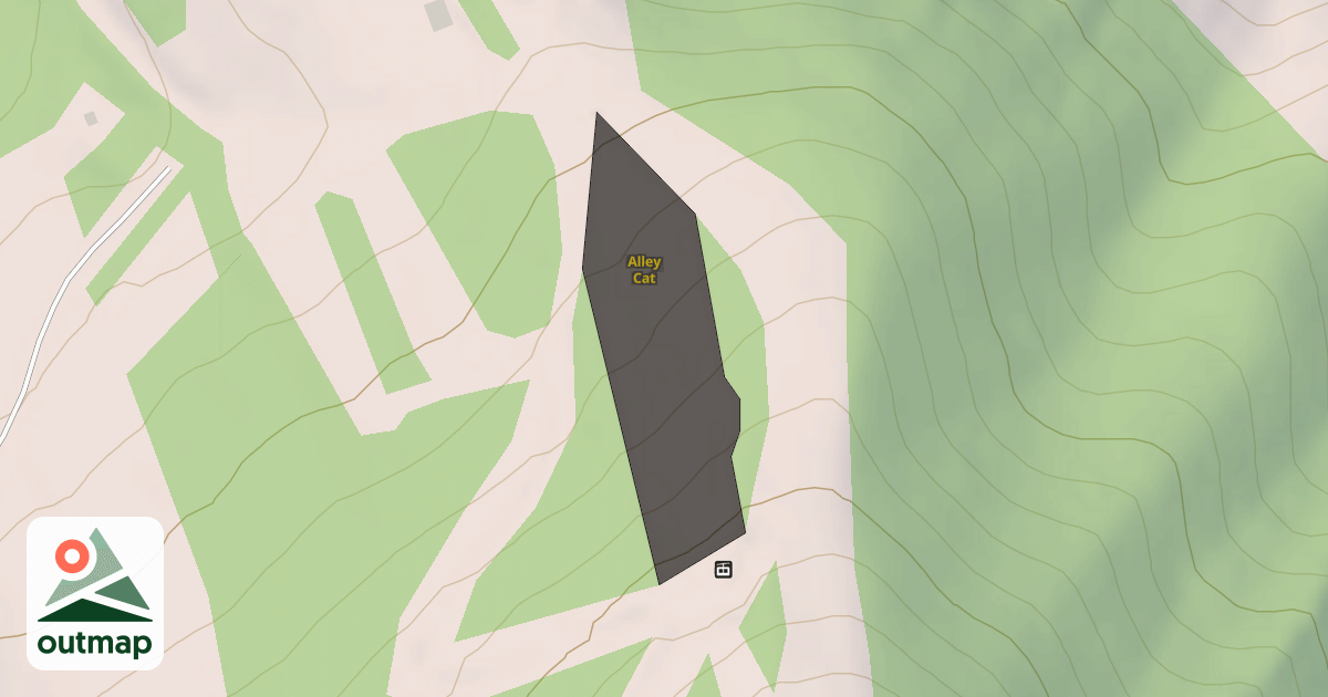 Map of Alley Cat