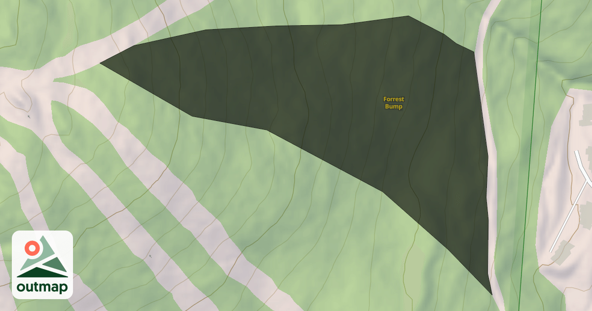 Map of Forrest Bump