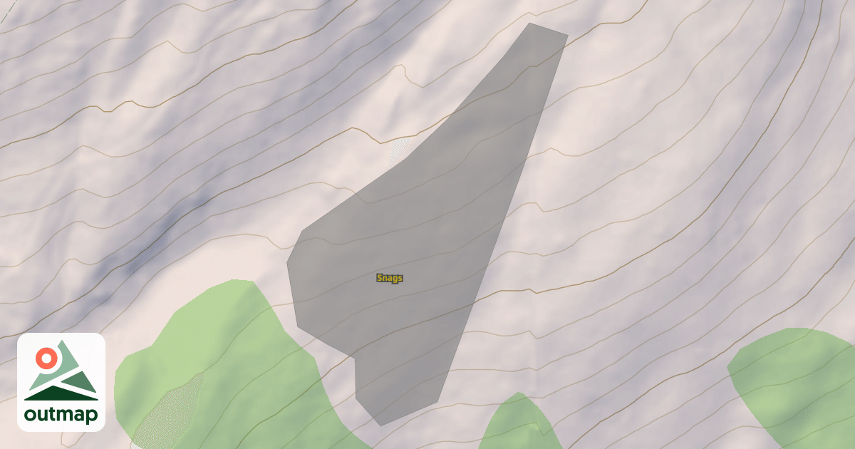 Map of Snags