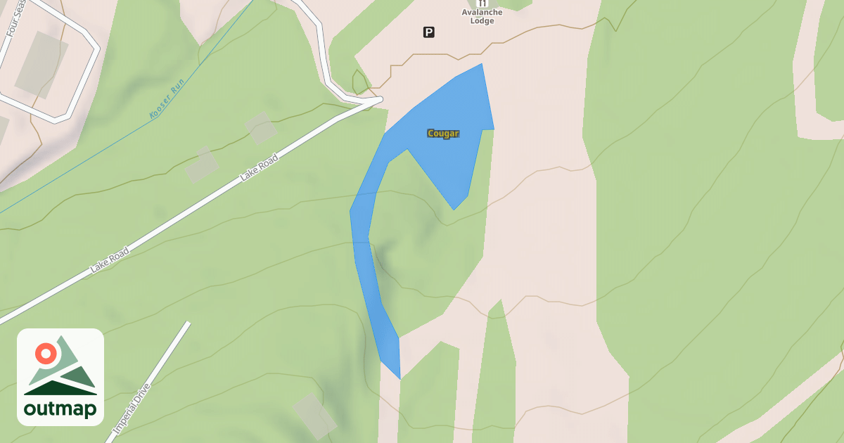 Map of Cougar