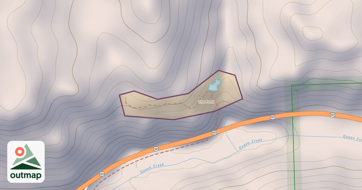 Map of The Pond