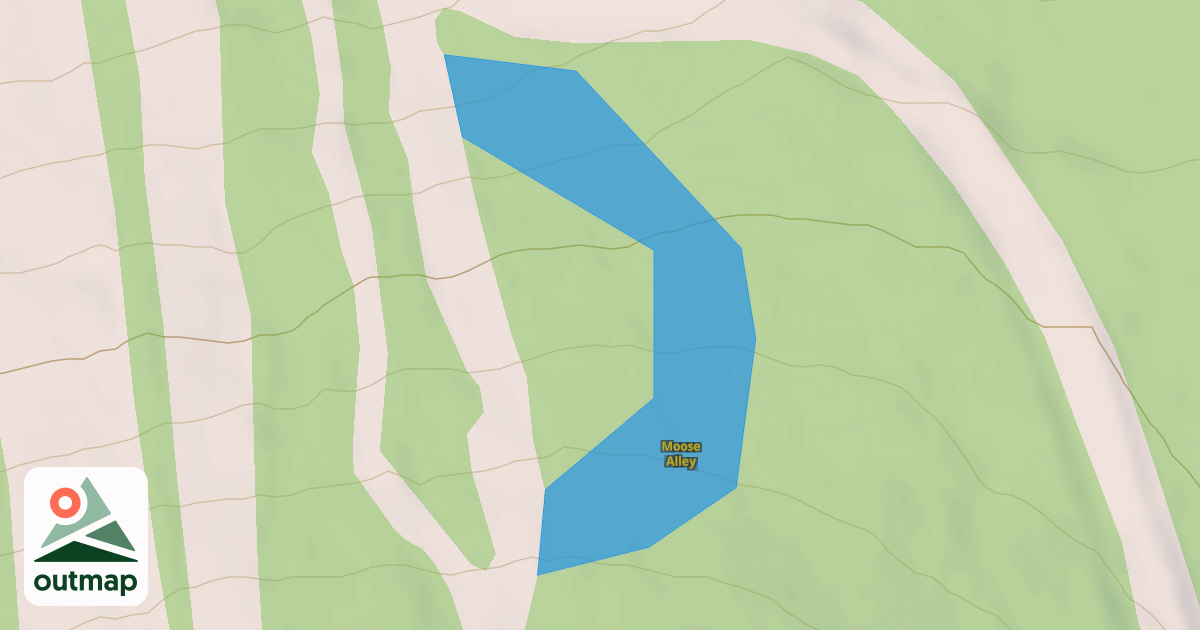 Map of Moose Alley