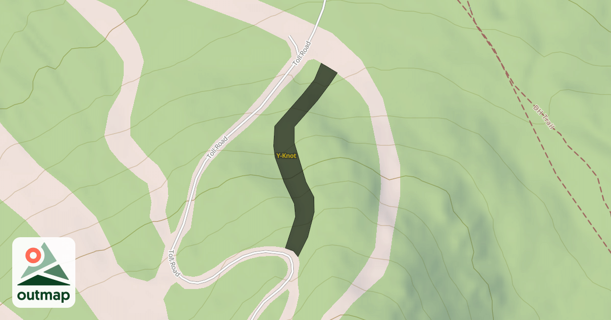Map of Y-Knot