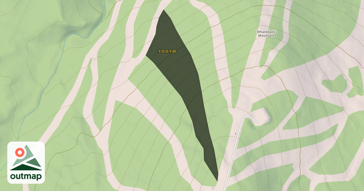 Map of Y.O.O.Y.M.