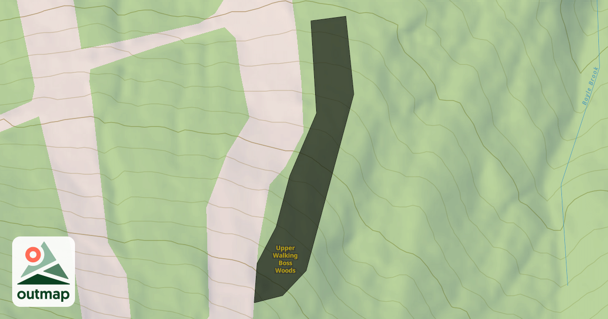 Map of Upper Walking Boss Woods