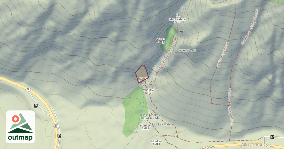 Map of Monkey Face
