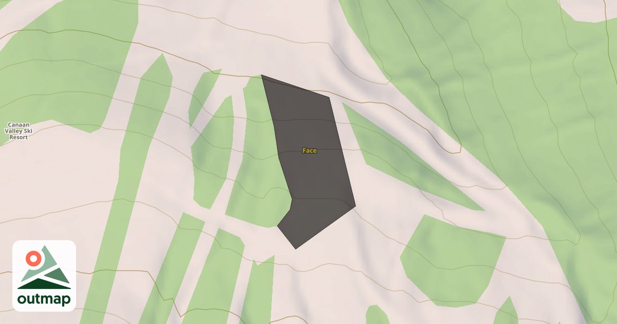 Map of Face