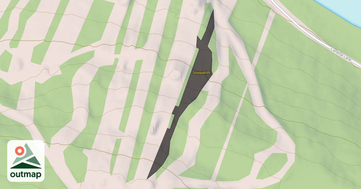 Map of Snowdrift