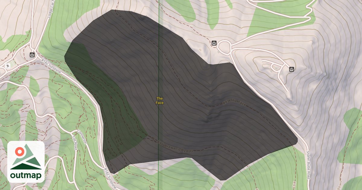 Map of The Face