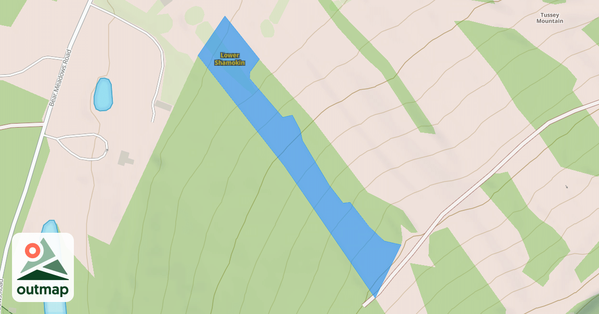 Map of Lower Shamokin