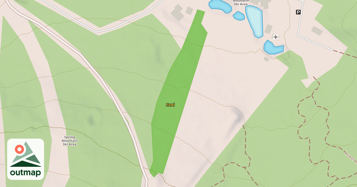 Map of Fowl