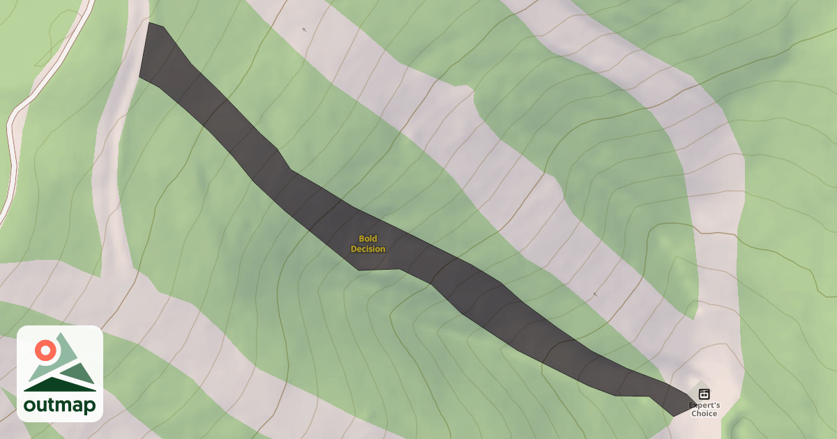 Map of Bold Decision