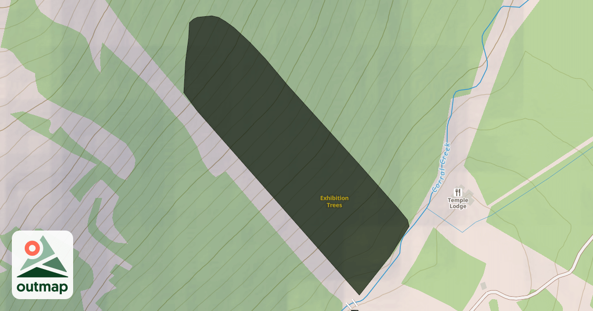 Map of Exhibition Trees