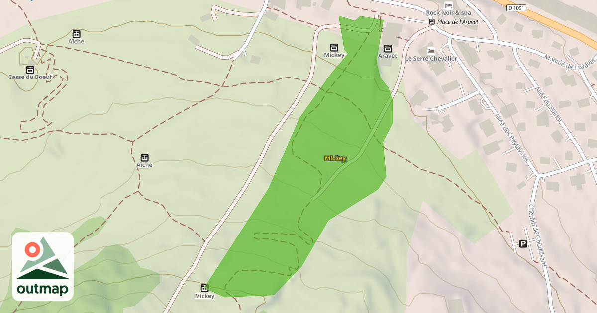 Map of Mickey