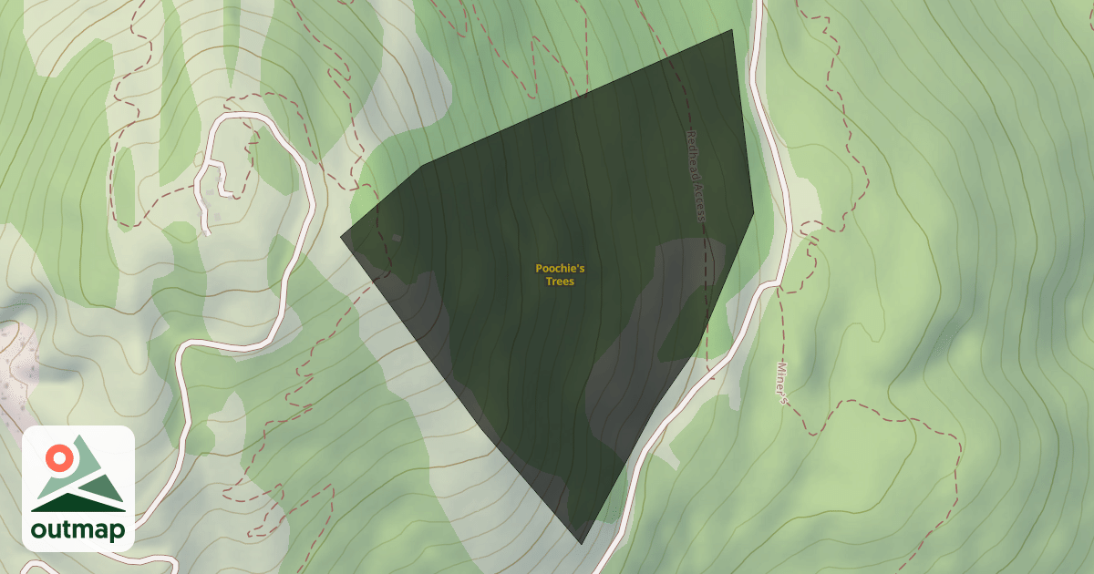 Map of Poochie's Trees