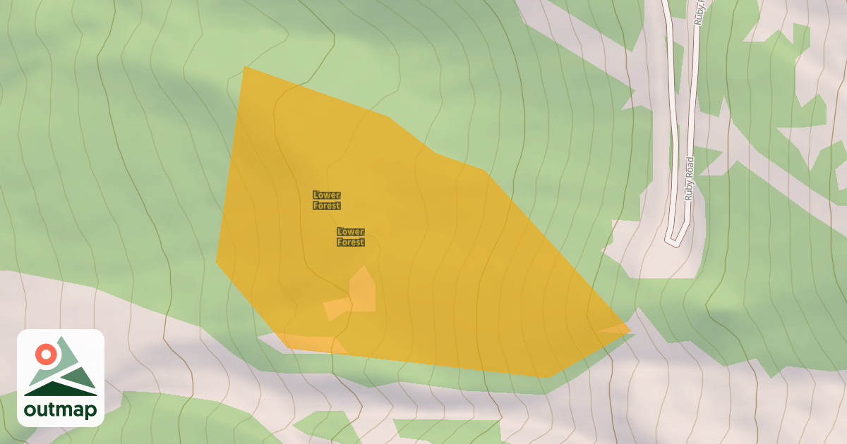 Map of Lower Forest