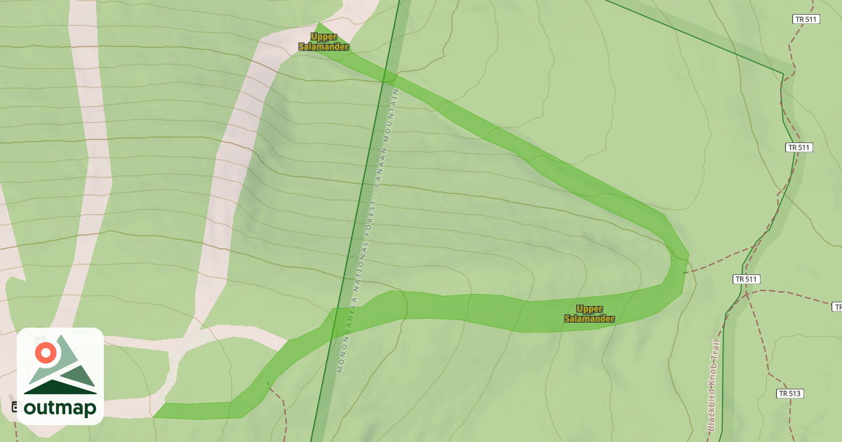 Map of Upper Salamander