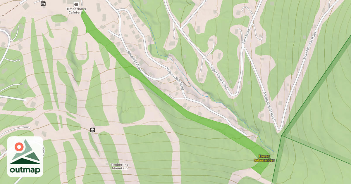 Map of Lower Salamander