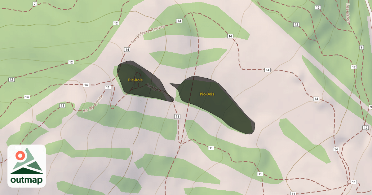 Map of Pic-Bois