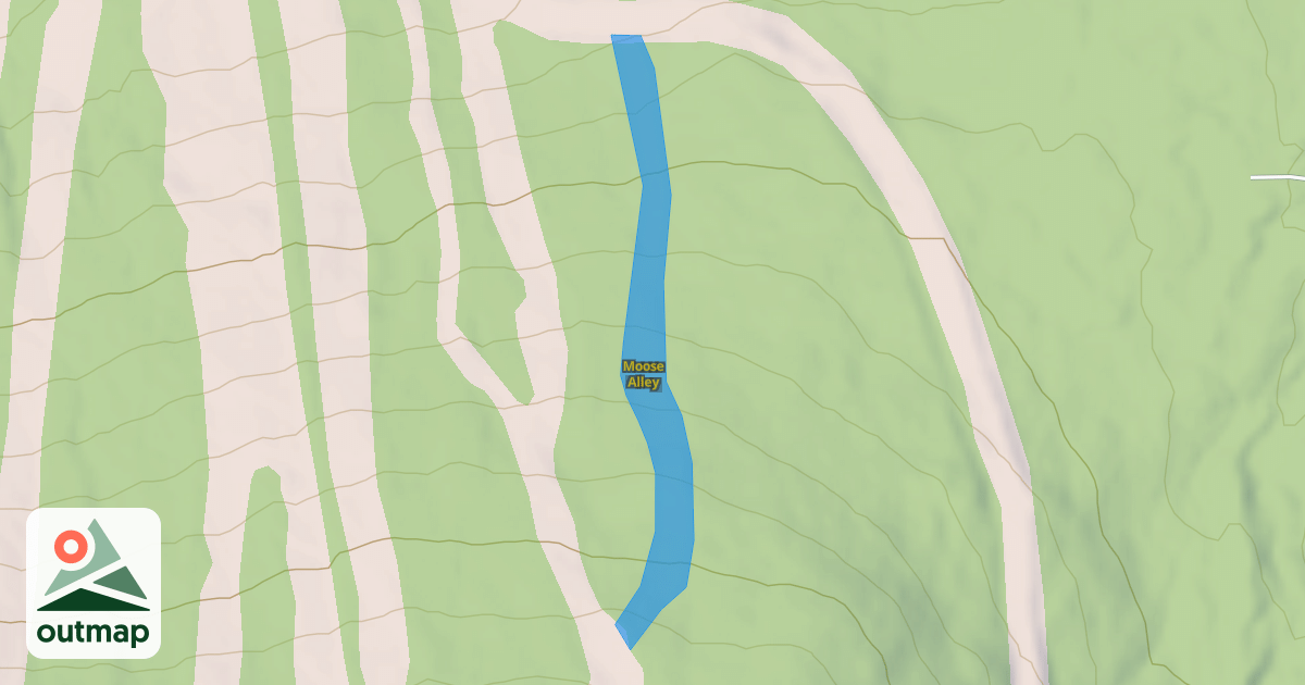 Map of Moose Alley