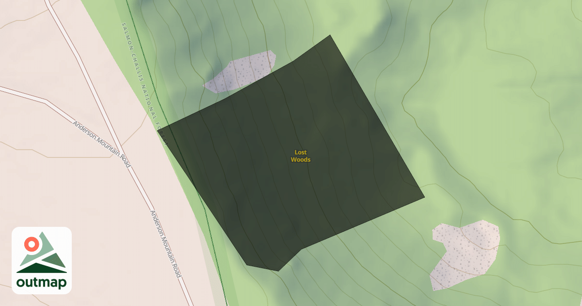 Map of Lost Woods