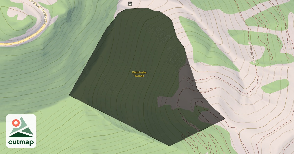 Map of Watchabe Woods