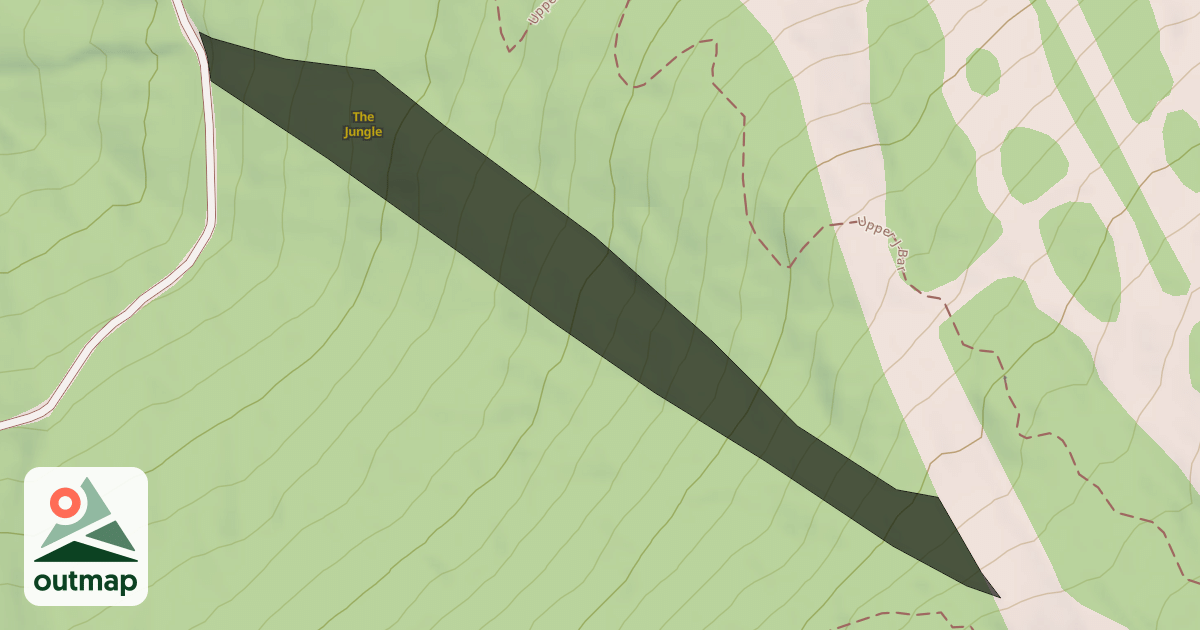 Map of The Jungle