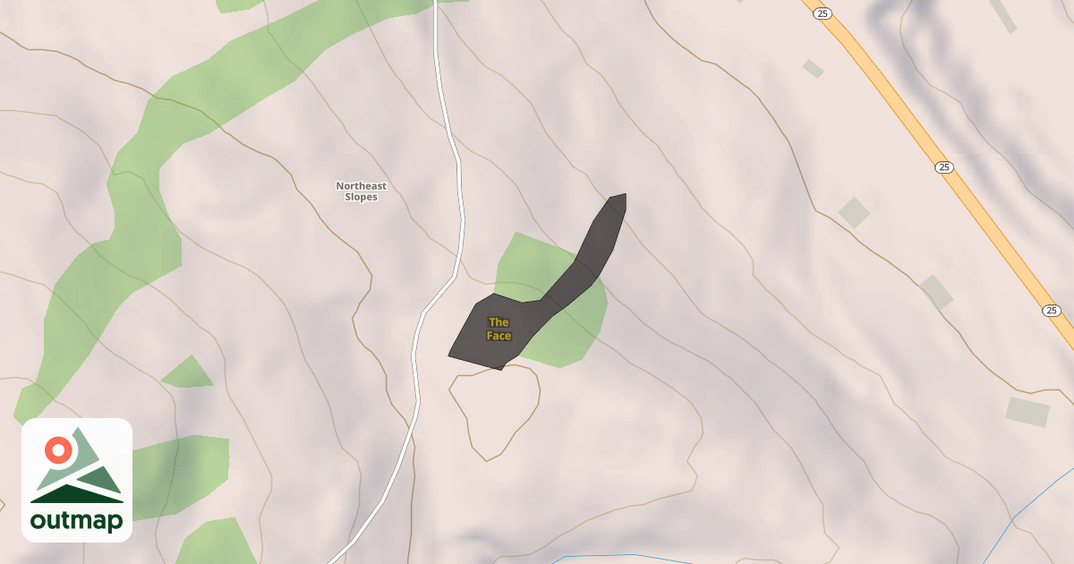 Map of The Face