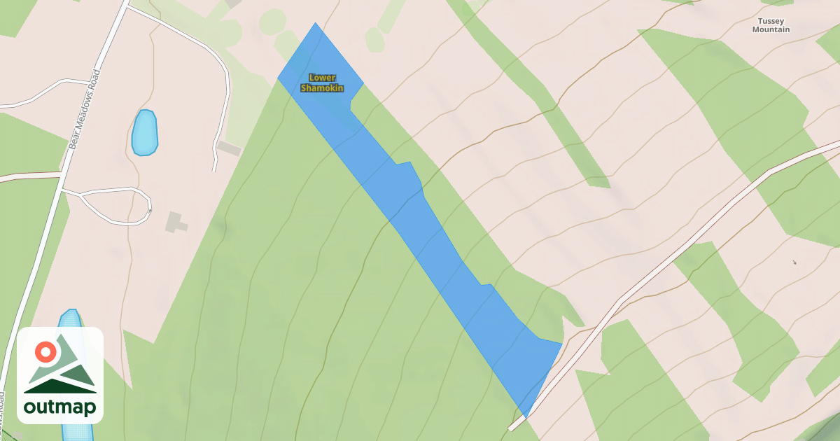 Map of Lower Shamokin