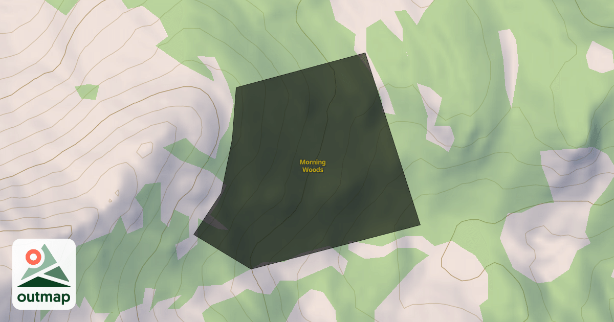 Map of Morning Woods