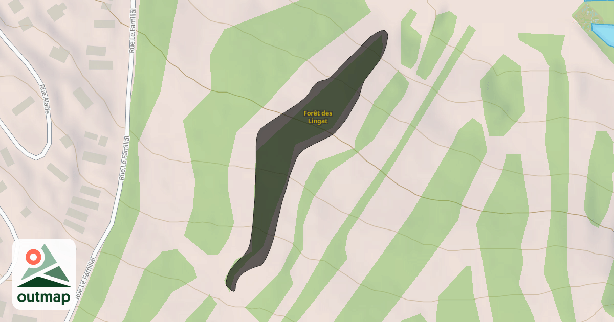 Map of Forêt des Lingat