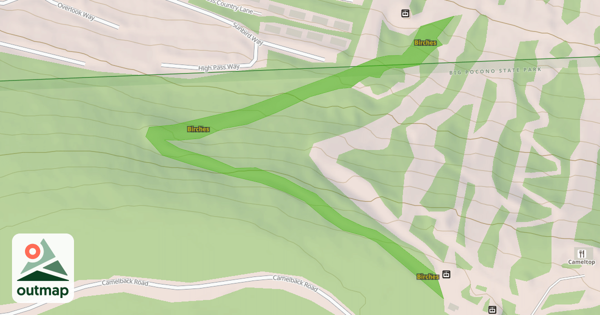 Map of Birches