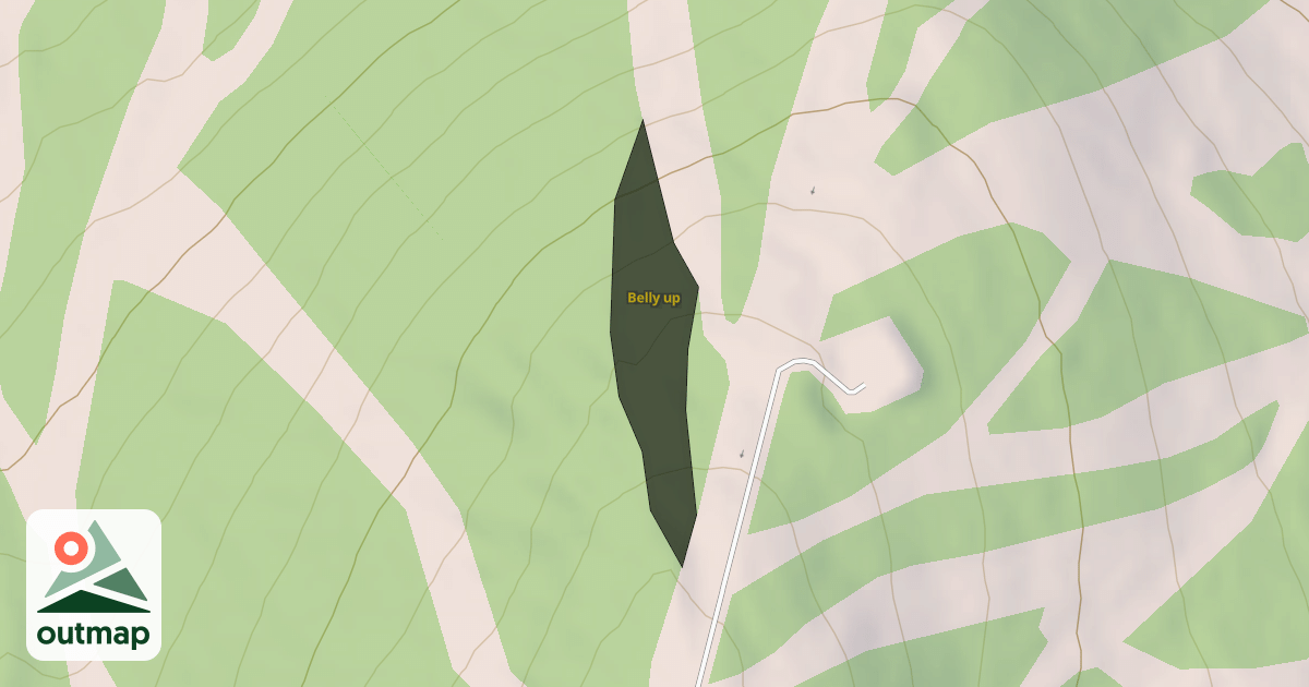 Map of Belly up