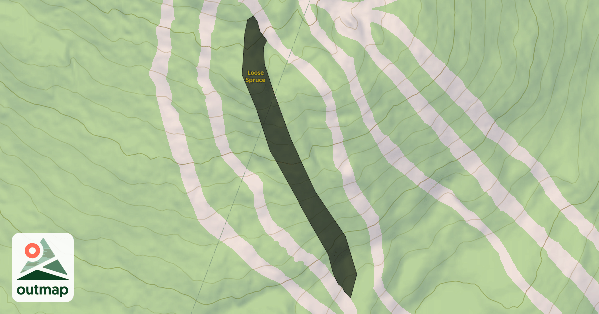 Map of Loose Spruce