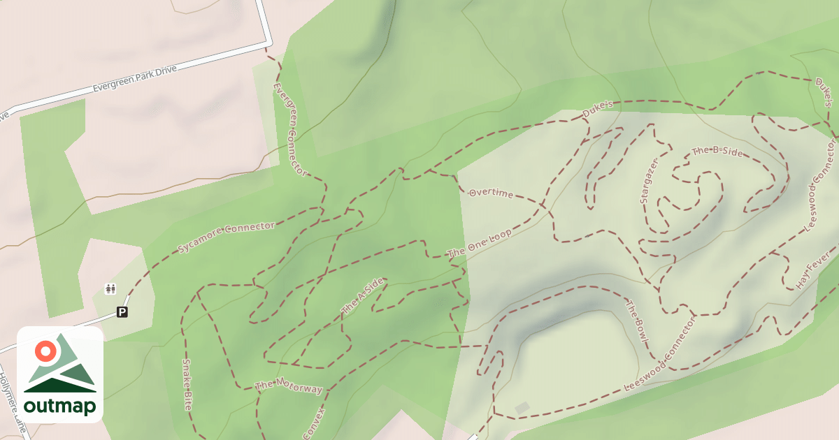 Map of The One Loop