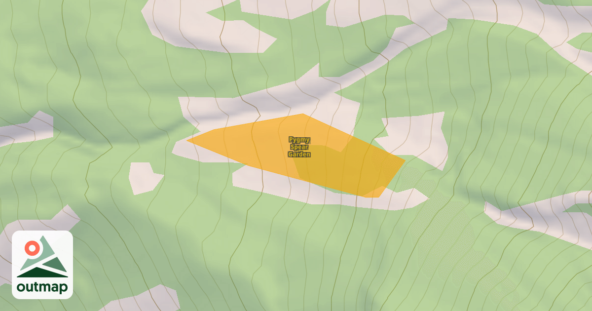 Map of Pygmy Spear Garden