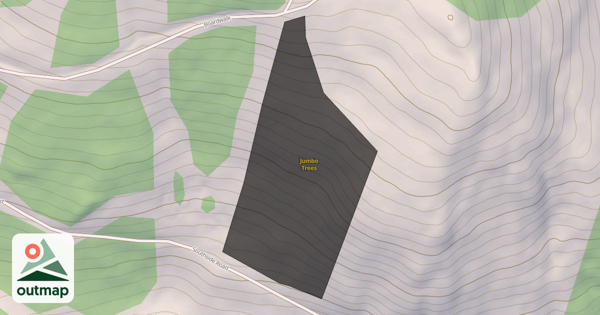 Map of Jumbo Trees
