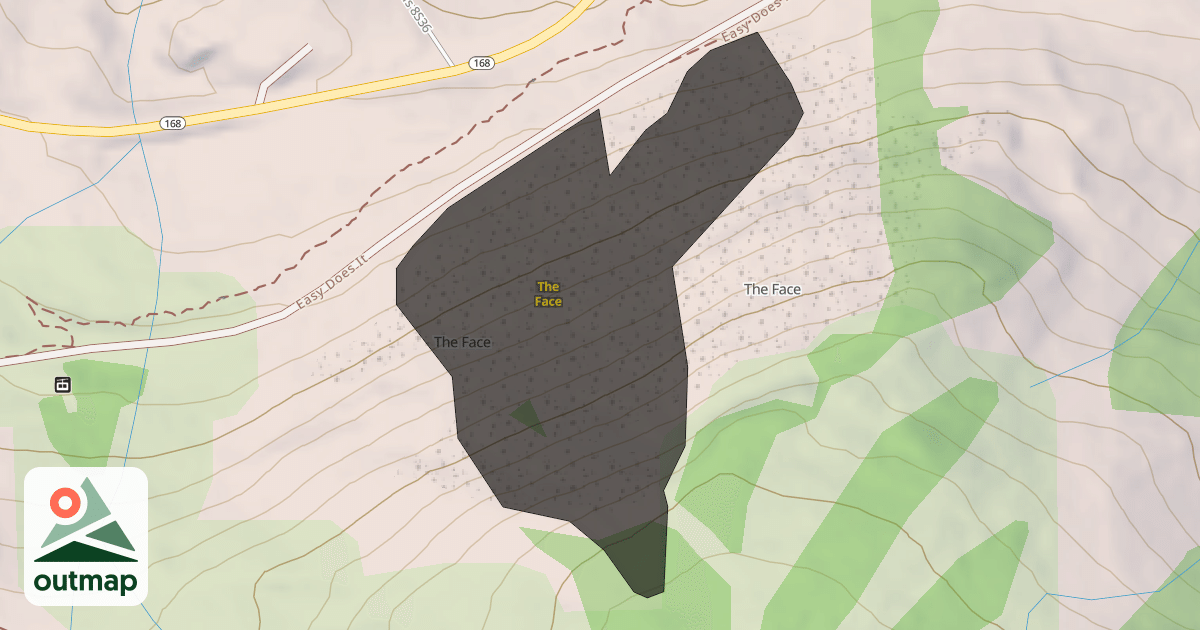 Map of The Face