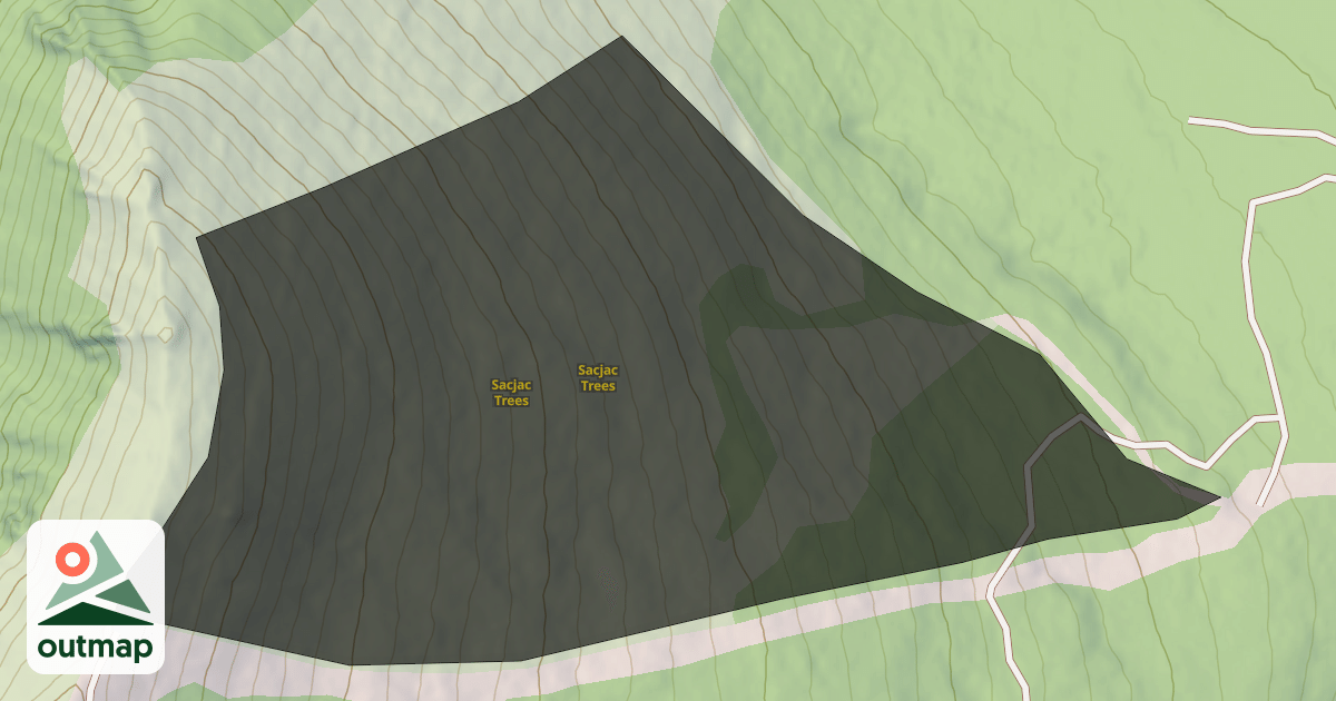 Map of Sacjac Trees