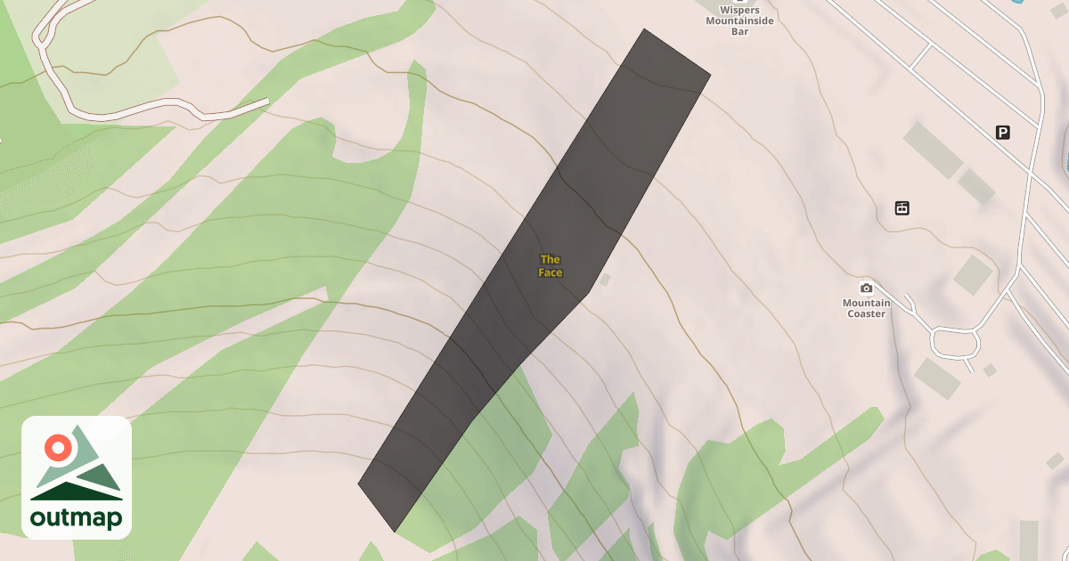 Map of The Face
