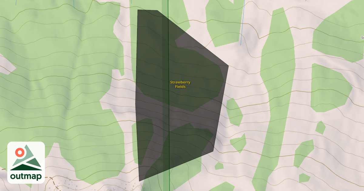 Map of Strawberry Fields