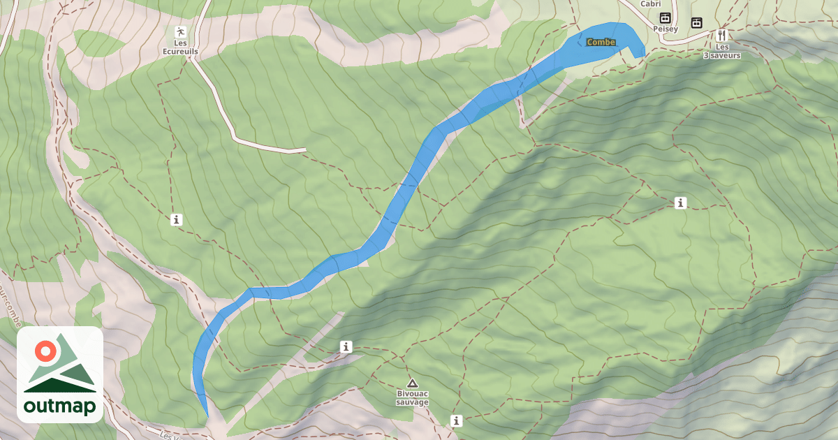 Map of Combe