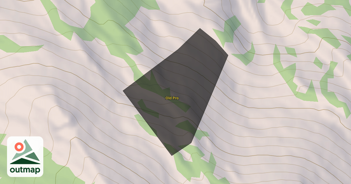 Map of Old Pro