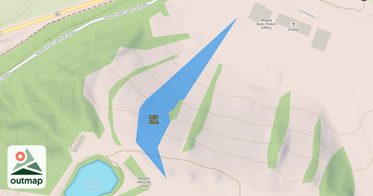 Map of Wild Deer