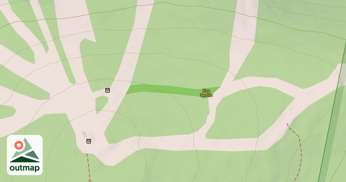 Map of Flag Spruce